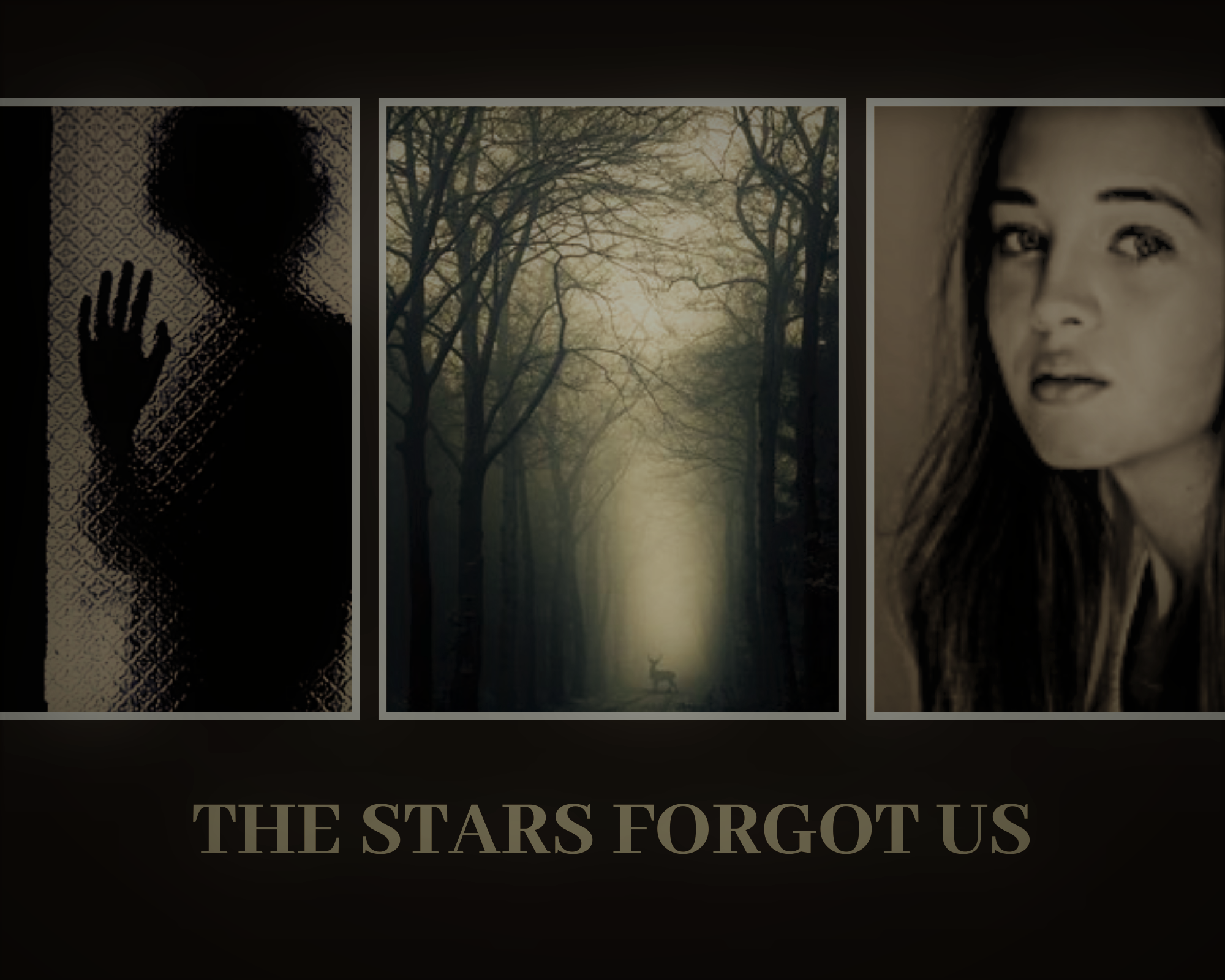 The Stars Forgot Us collage (2)